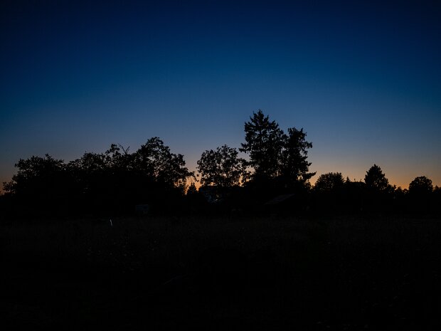 Abendlicht